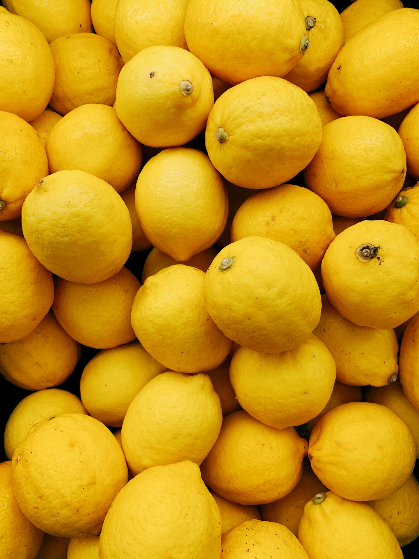 lemons-landscape